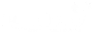 Agnoletto Contabilidade